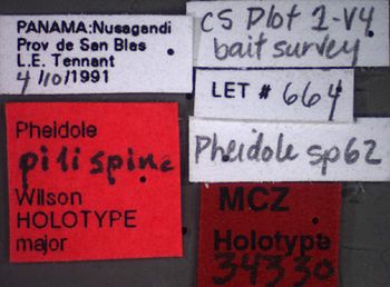 Media type: image;   Entomology 34330 Aspect: labels